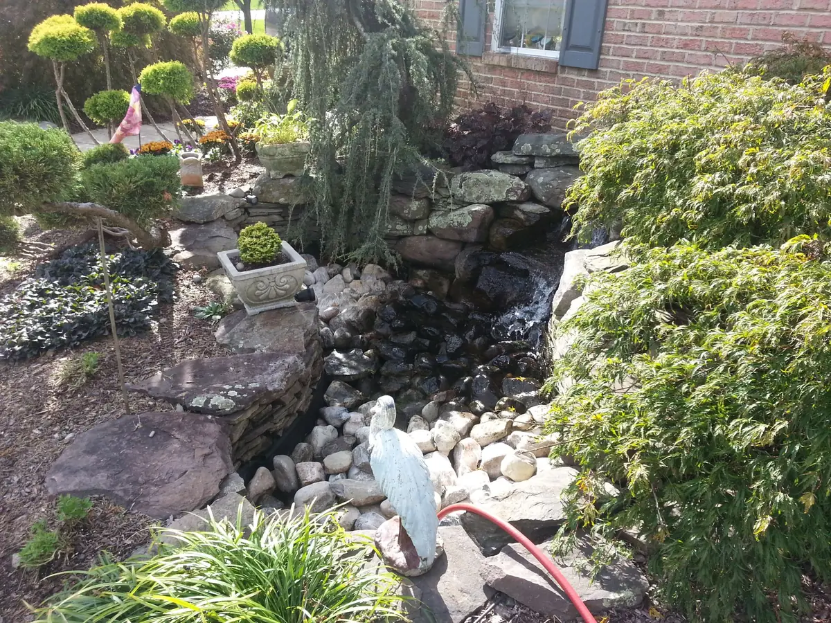Pond and planting