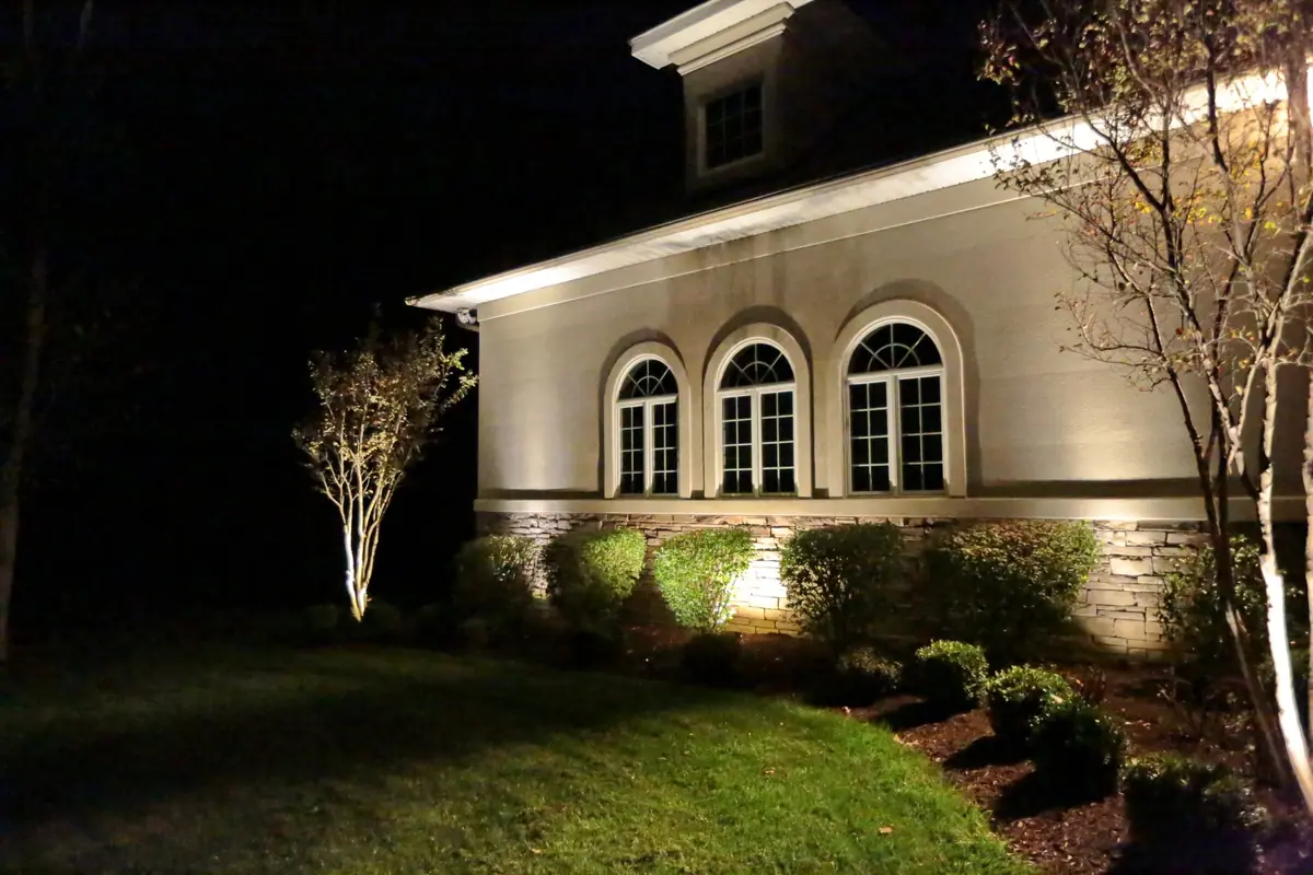 Arched window elevation