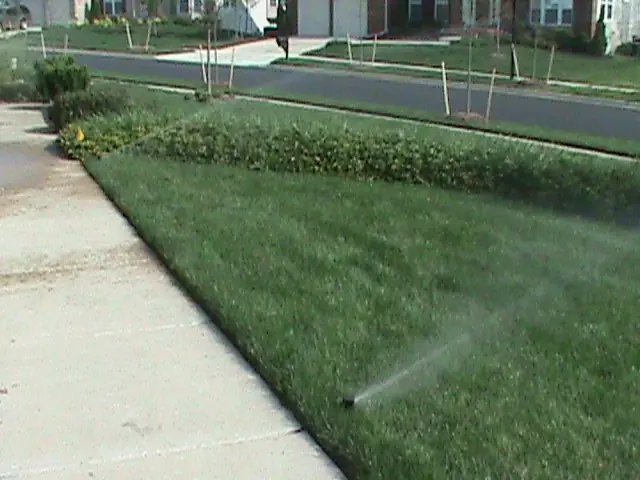 Curb strip coverage