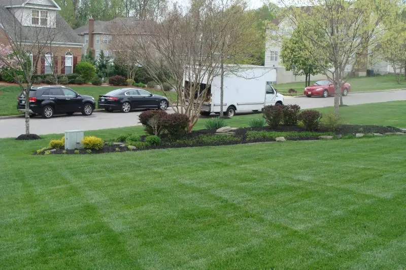 Front lawn, mid-season
