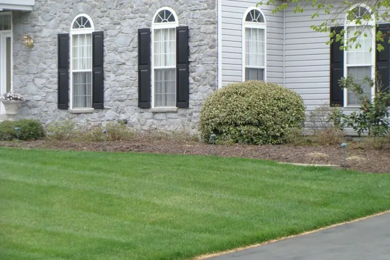 Established front lawn